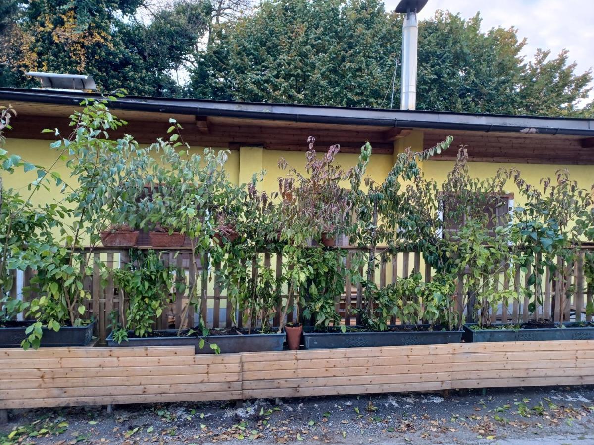 Binderhaeusl Villa Salzburg Exterior foto